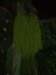 Photo Number 14