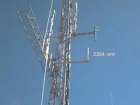 Collinear Antenna Array